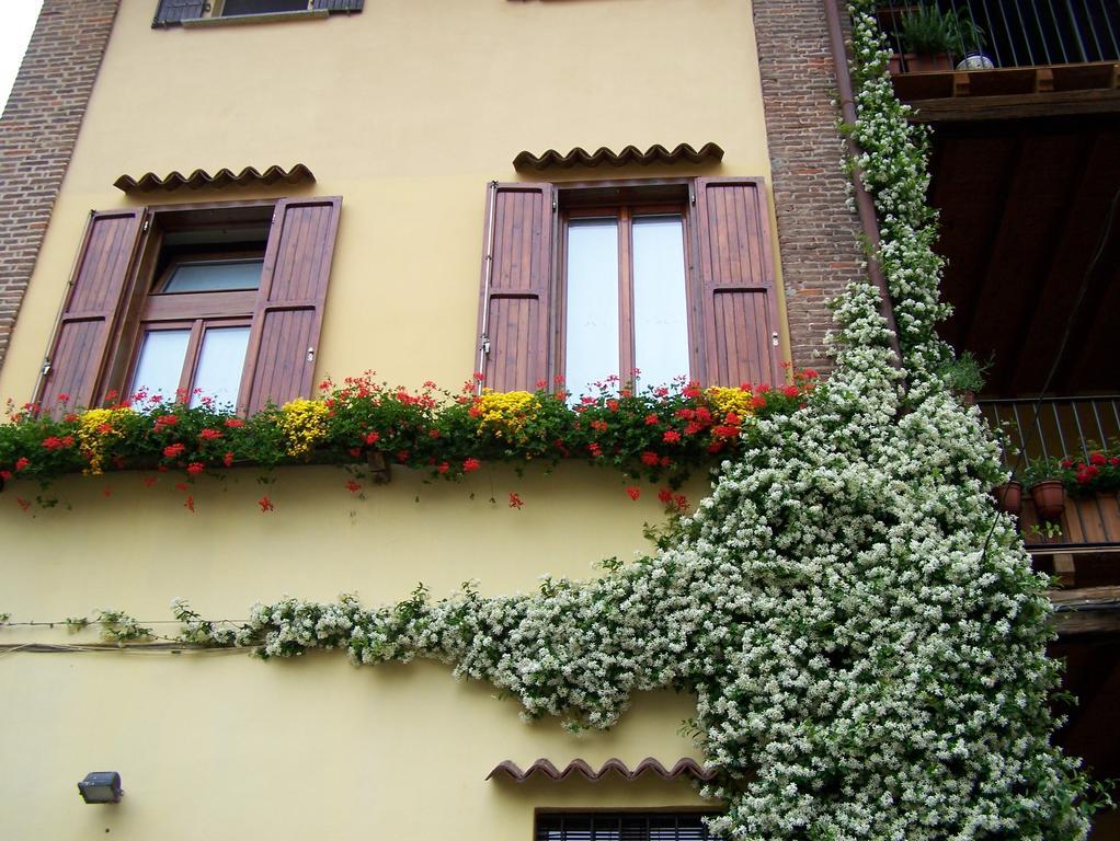 B&B Rosy Бураго-ди-Мольгора Экстерьер фото
